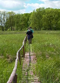 Kisvátyoni Tanösvény (Fotó: Sallainé Kapocsi Judit)