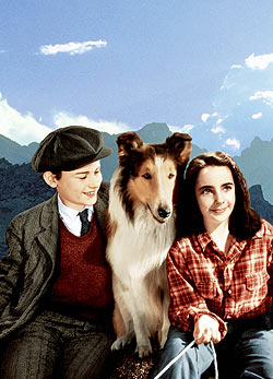 Elizabeth a Lassie hazatér című filmben 1943-ban