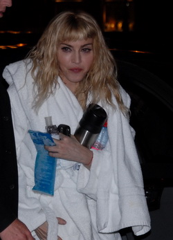 Madonna új vécédeszkákat akar