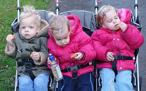 Gólyavárók: Harmadjára hármas ikrek