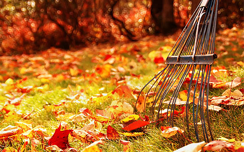 8 tuti tipp az őszi kert karbantartásához