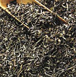 A tea növény őse