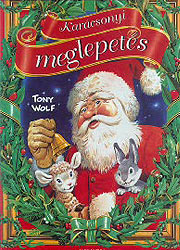 Mesés karácsonyi keksz gyerekeknek 