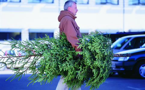 Karácsonyfát az IKEA-tól