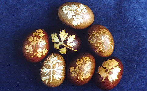 Berzselt tojások, festőnövényekkel színezve