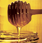 Győzd le az őszi betegségeket!