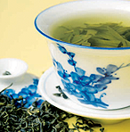 Győzd le az őszi betegségeket!