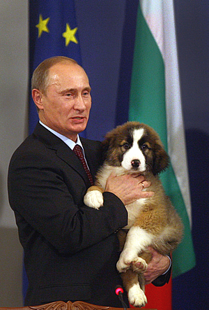 Vlagyimir Putyin nevet keres kutyájának