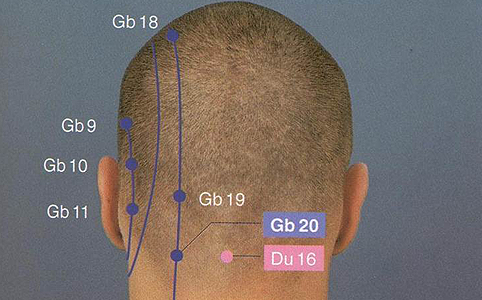 Az Epehólyag 20-as pont (GB 20) a fejbiccentő- és a trapézizom tapadása közötti mélyedésben, a sziklacsont mögött, a nyakszirtcsont alatt, a tarkón található egy mélyedésben.