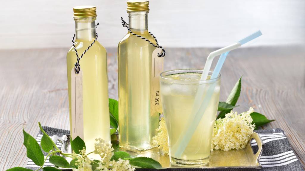 Hogyan kell bodzaszörpöt készíteni? (