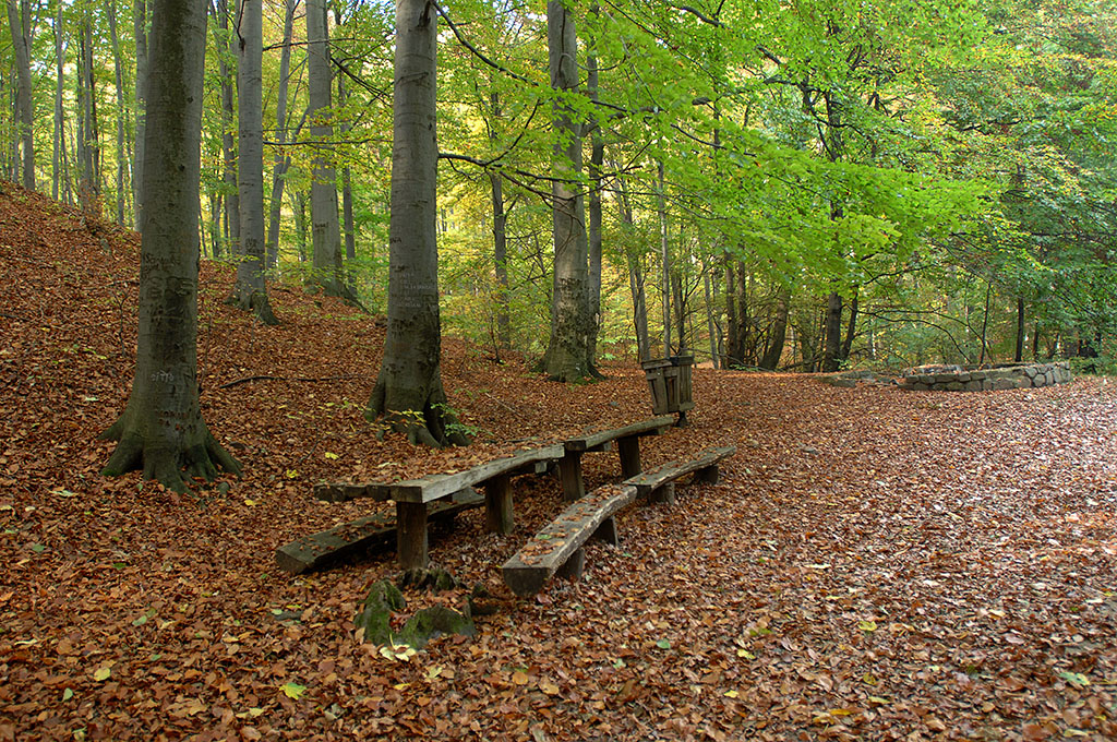 MTI / H. Szabó Sándor