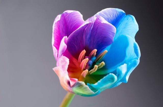 jelek egyéniség önismeret