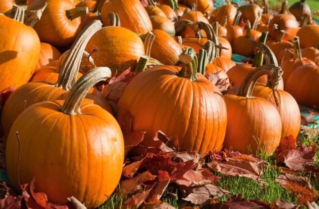 bak horoszkóp randi