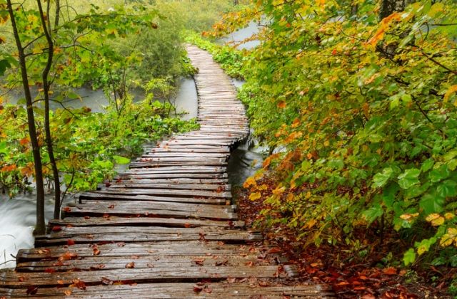 halak horoszkóp randi