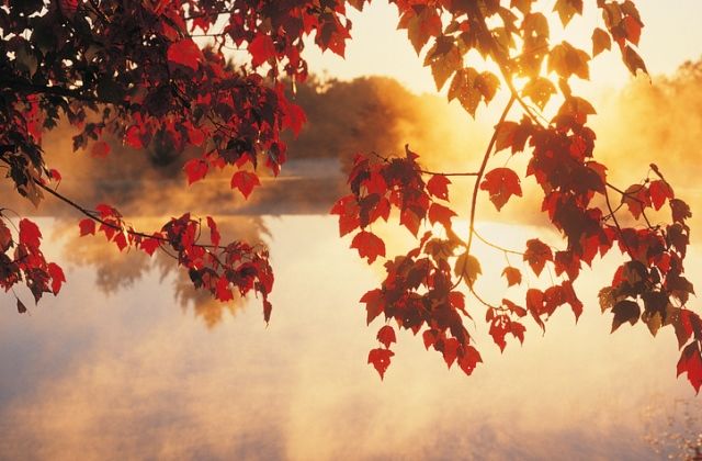 évszak ősz személyiség