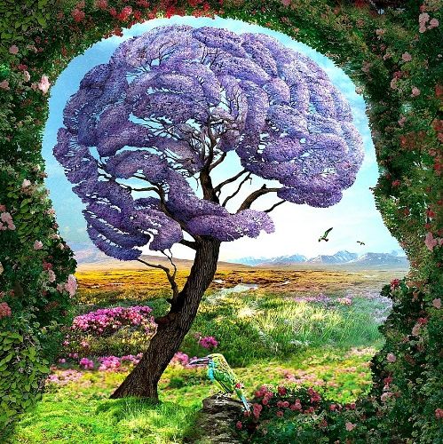 kép személyiségteszt