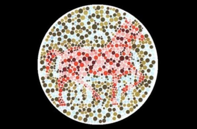 állat személyiségteszt színteszt