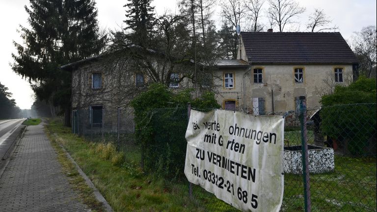 Alwine (fotó: AFP / Tobias Schwarz)