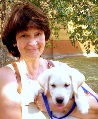 vakvezető kutya, kölyöknevelő