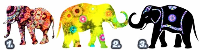 lélek feladat sors elefánt teszt