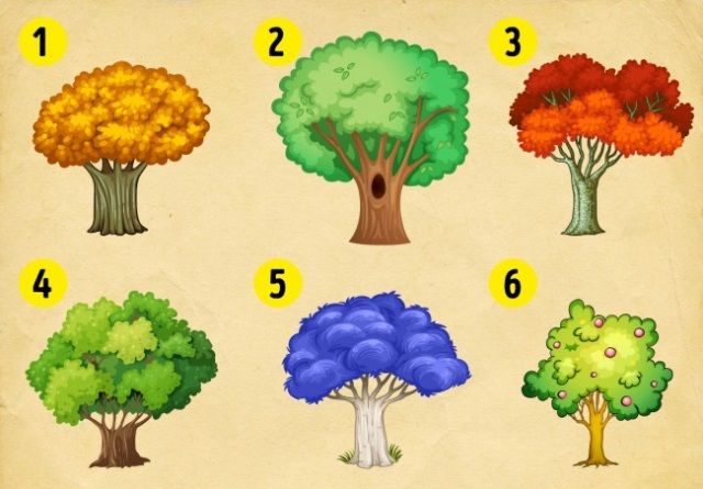 fa személyiség teszt 2018