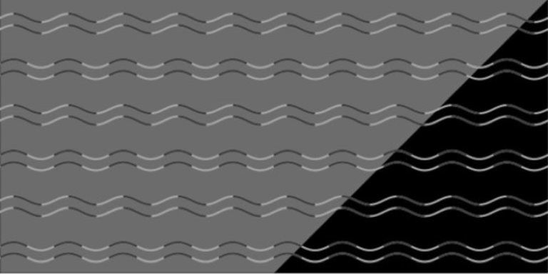 optikai illúzió csalódás