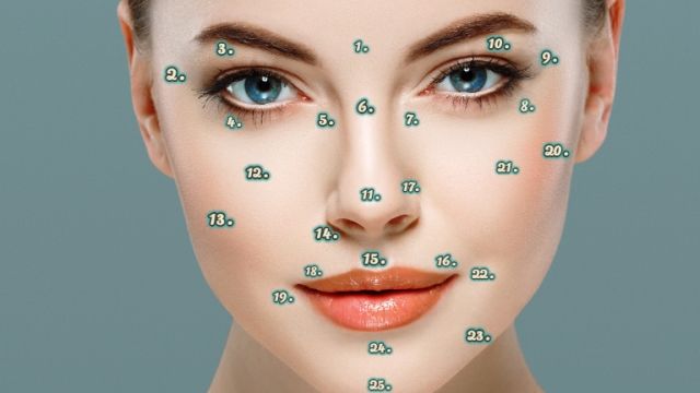 anyajegyek jelentése