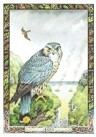 kelta tarot kártya horoszkóp skorpió