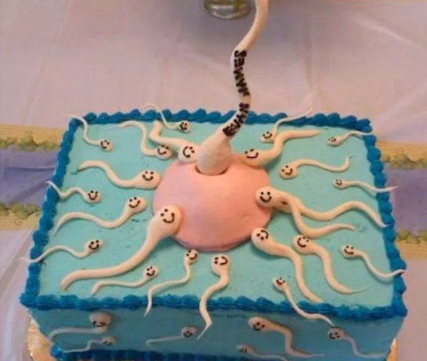 Biológiai pontosságra törekvő torta