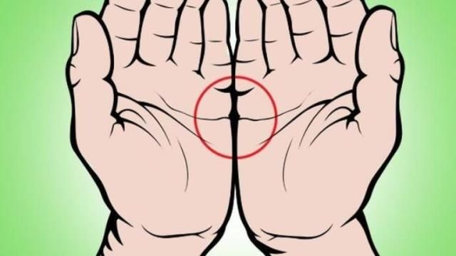 tenyér jóslat szívvonalak személyiségteszt