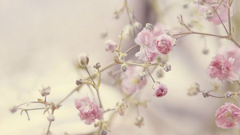 napi horoszkop r.kover balazs