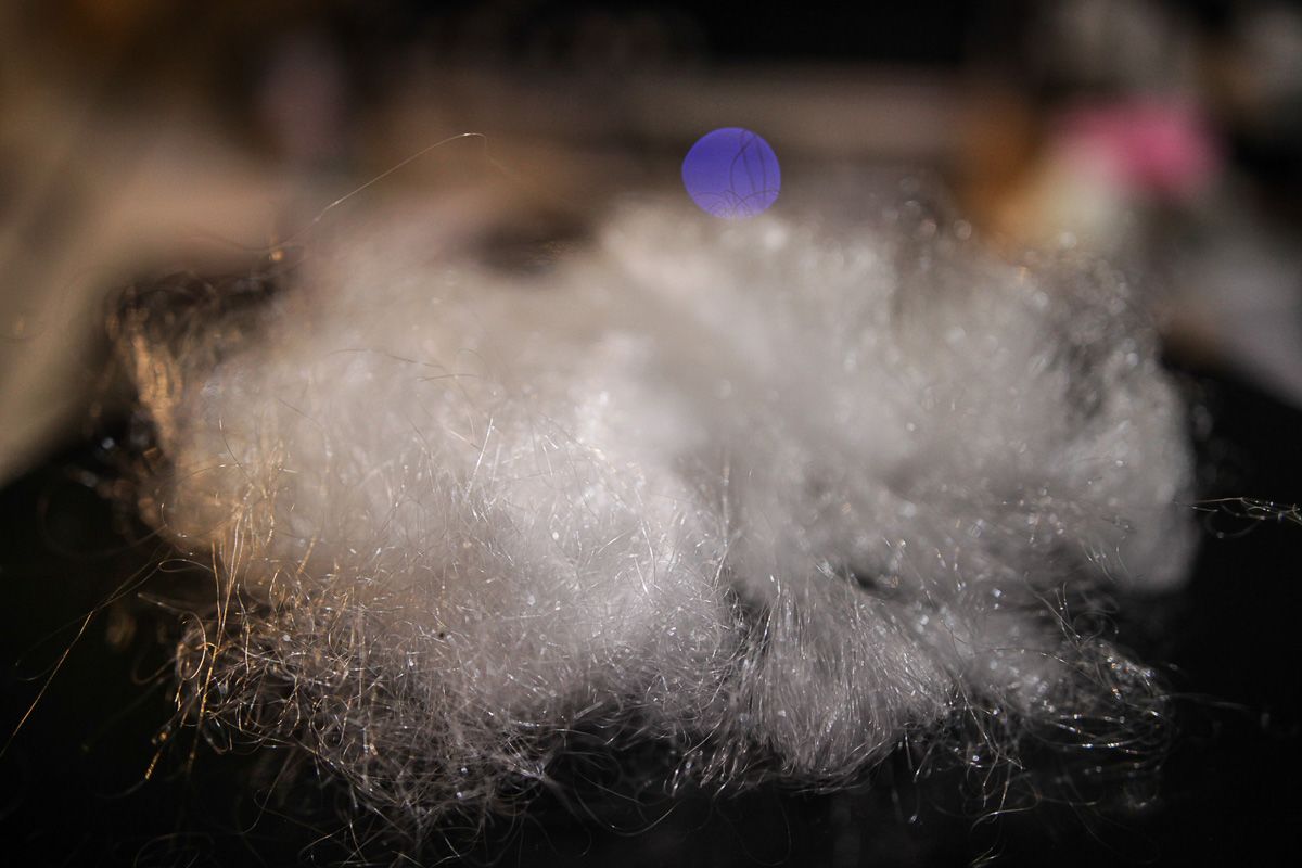 Retrócsoda egy fóti műhelyben: így készül a „kézműves” hanglemez