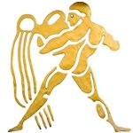 nehéz csillagjegyek vízöntő horoszkóp