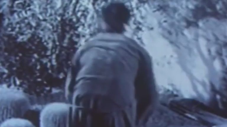 maszturbálás, amerika kedvencei (forrás: InterCom)