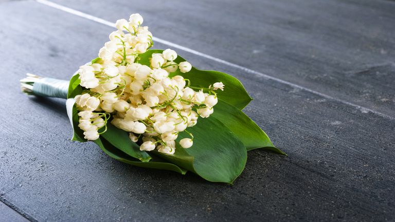 napi szerelmi horoszkop, horoszkop