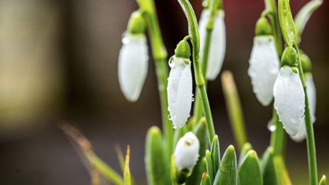 idojaras, elorejelzes