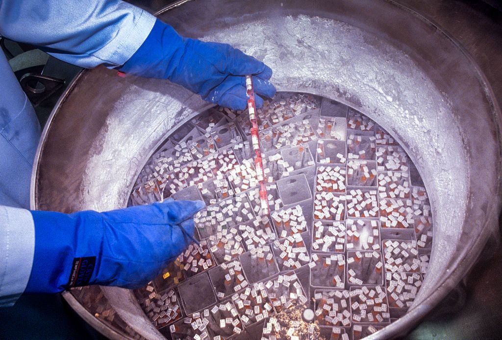 sperma bank sperma donor