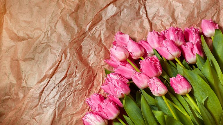 horoszkop, napi horoszkop