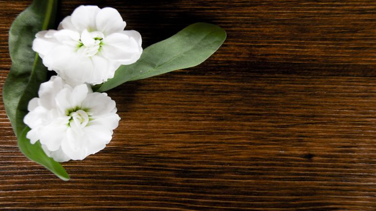 horoszkop, napi horoszkop