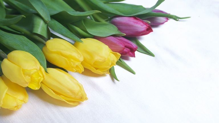 napi horoszkop, horoszkop