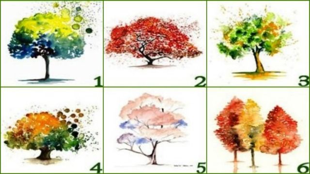 fa rajzok személyiség teszt