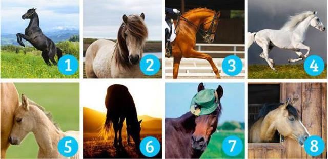 lovak személyiség teszt jövő jóslat