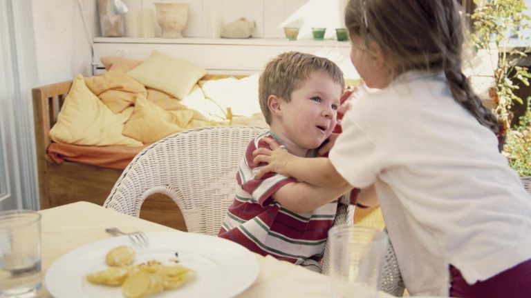 testvérek veszekedés kutatás