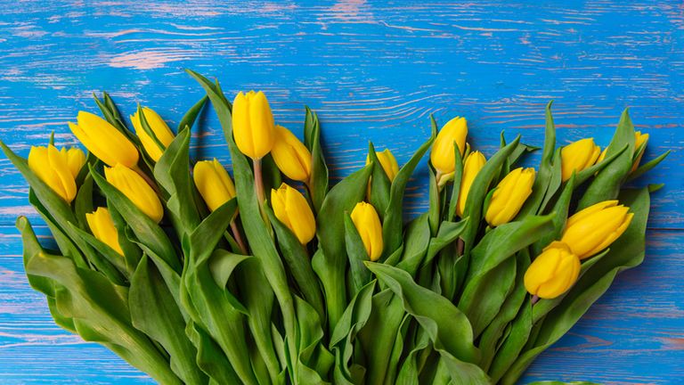 napi horoszkop, horoszkop