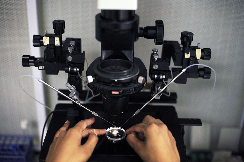 petesejt beültetés mesterséges megtermékenyítés lombik család