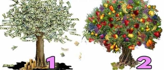 bőségfa személyiség teszt spirituális jóslat üzenet