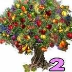 bőségfa személyiség teszt spirituális üzenet jóslat