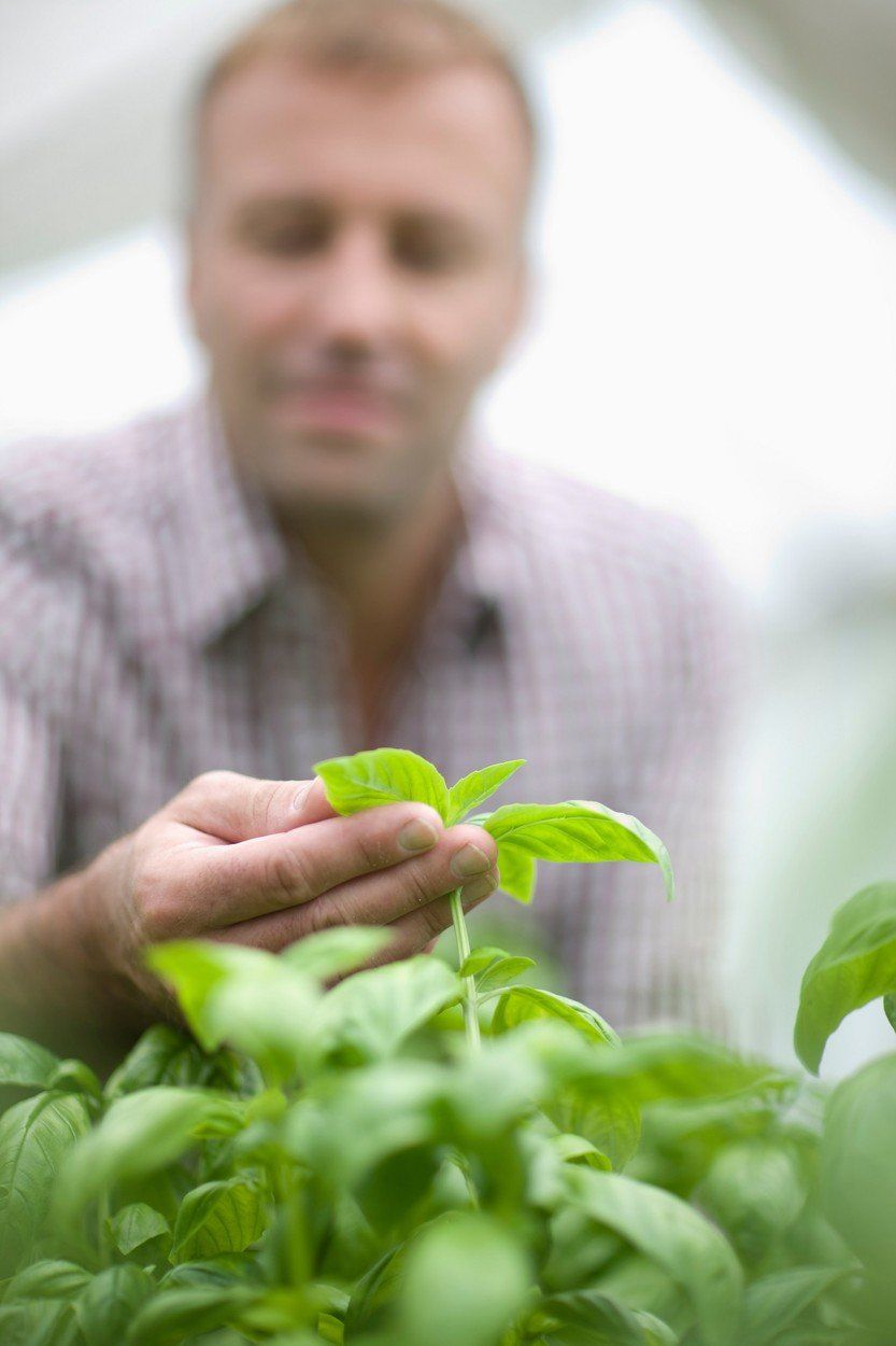 Már nem annyi az annyi (fotó: profimedia)