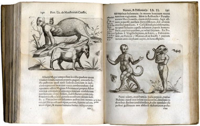 bontius de medicina indorum