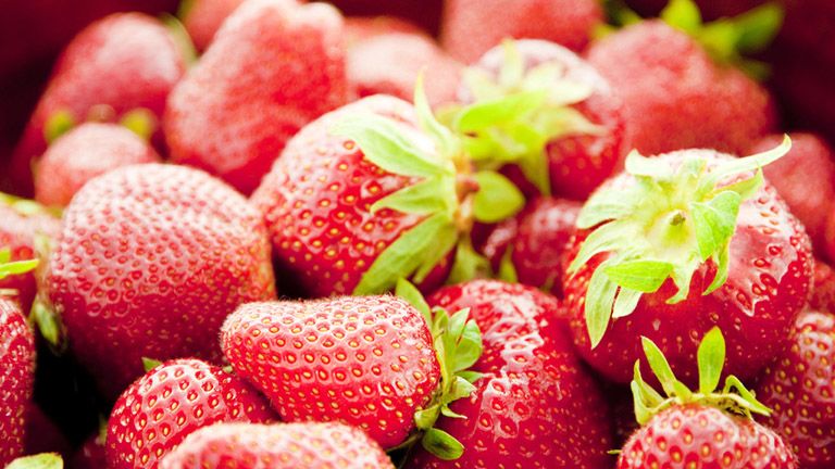 eper, eperszezon, egeszseges taplalkozas